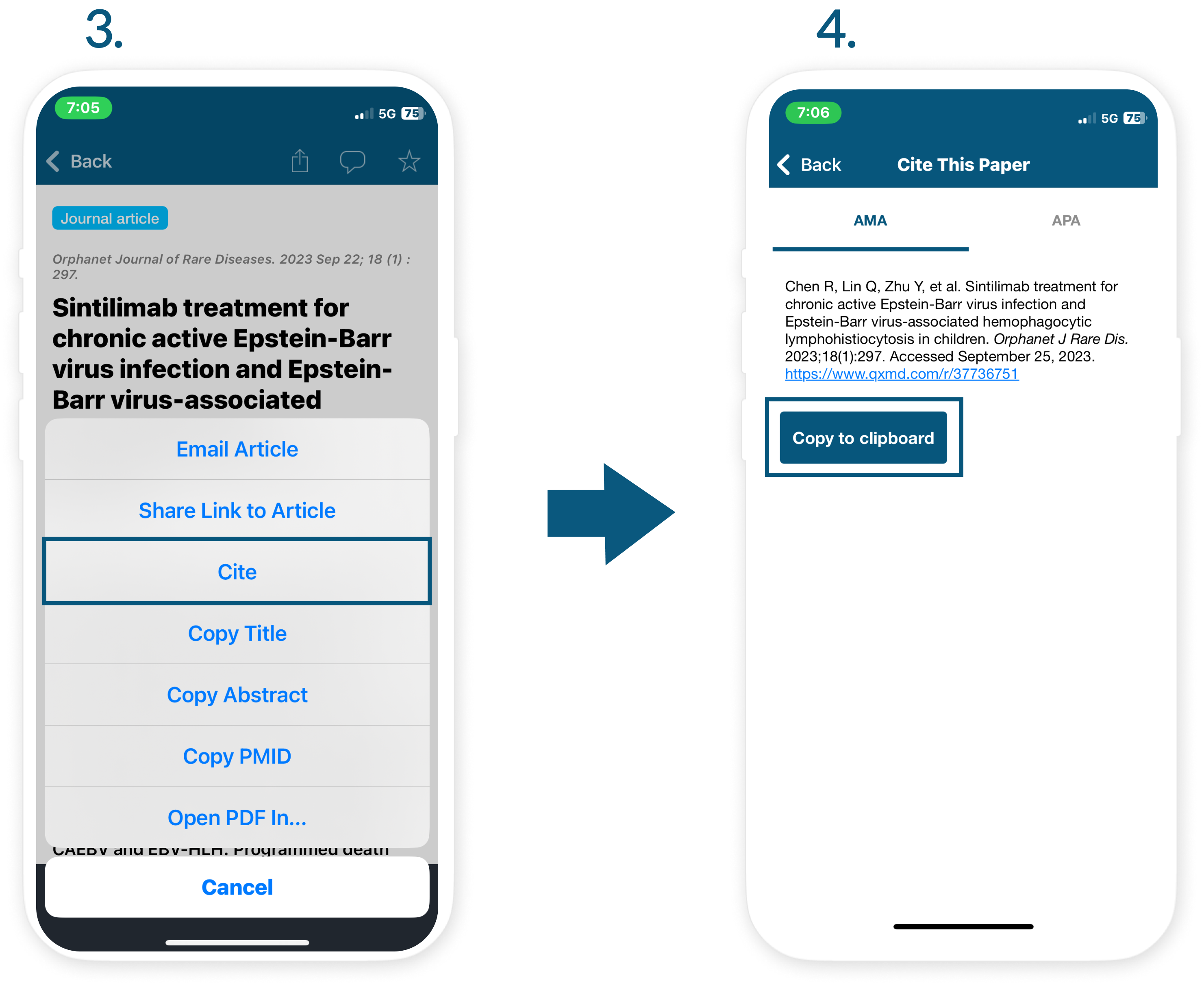 How to Use Citation Managers with Read - IOS B(1).png